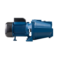 Haute pression 1 pouce pompe domestique Pompe De Surface eau propre 1Hp 1.5Hp électrique auto-amorçante Jet série pompes