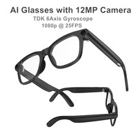 Lunettes Intelligentes de Diffusion en Direct avec Support OEM, Application, BT+Wifi, Caméra 12MP, Traduction IA, Capture Vidéo, 32 Go, 4 Micros, Audio Bidirectionnel