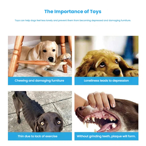 Giocattolo per Cani in TPR, Palla a Spine Resistente ai Morsi per Pulizia e Dentizione, Gioco Interattivo per Animali Domestici - Product Image 6