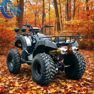 Cuatrimotos chinas <span class=keywords><strong>de</strong></span> 250cc con freno <span class=keywords><strong>de</strong></span> disco hidráulico LNA, construidas para uso diario y <span class=keywords><strong>alquiler</strong></span>. - Product Image 3