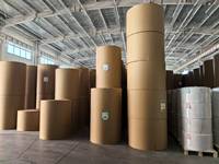 Rouleau de papier offset 48g 55g 65g 70g 80gsm pour impression de bureau