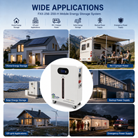 Batterie de stockage d'énergie mobile LiFePO4 6000 cycles 5,12 kWh 25,6 V 200 Ah avec BMS intelligent pour l'alimentation de secours solaire domestique