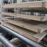 Machine de pressage à chaud haute fréquence pour portes en bois, ligne de production et d'assemblage à vendre sur commission