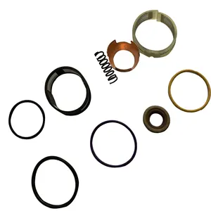 Advantage Supply Engine Injector Nozzle Repair Kit 40250634025063 Seal Kit 4025063 Seal Kit