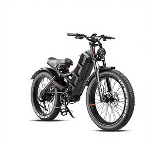 Batterie de vélo électrique Eahora Romeo Pro 48V 60Ah, moteur personnalisé, capacité 250W, puissance constante, moteur à moyeu DC, vélo électrique de montagne - Product Image 1