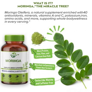 Complément alimentaire fonctionnel HACCP, OEM ODM, capsules de Moringa Oleifera - Product Image 3