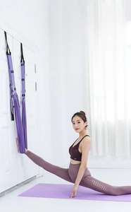 Offre Spéciale : Ensemble de hamac de <span class=keywords><strong>yoga</strong></span> en polyester 5M, balançoire de <span class=keywords><strong>yoga</strong></span> aérienne en soie – Vente en gros - Product Image 2