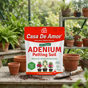 Casa De Amor Adenium Organic Reusable Grow <b>Bag</b> Ready to Use Beneficial Microbe Enriched for Home <b>Garden</b> - Product Image 3
