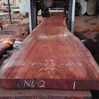 Scierie de coupe de bois 1200mm 1600mm Scie horizontale Scie à ruban de bois horizontale Machine de moulin Nous sommes professionnels