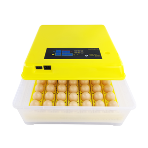 Máquina de incubación de huevos pequeños, controlador de temperatura y humedad, bandeja de plástico, pescado, profesional - Product Image 4