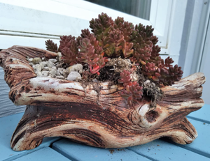 Креативный пасторальный цветочный горшок с резьбой по корням цементного дерева, многоразовый цветочный горшок для мини-суккулентов - Product Image 6