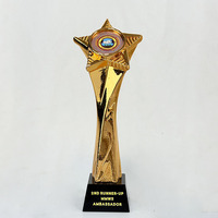 Cadeaux souvenirs, trophée étoile en or, argent, cuivre, résine, trophée en cristal personnalisé, récompenses gravées créatives MH-J0503