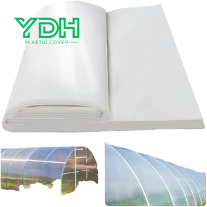 UV Resistant 6 Mil Thickness Blow Molding Plastic <strong>Greenhouse</strong> <strong>Cover</strong> <strong>Replacement</strong> Sheet for <strong>Greenhouses</strong> - Product Image 3