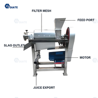 Extracteur de jus commercial à spirale / Presse-agrumes à grande capacité / Extracteur de fruits et légumes à taux d'extraction élevé – Prix direct usine