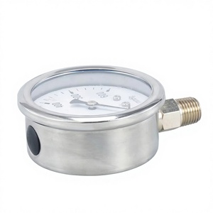 Manometro Medico a Tubo di Bourdon in Acciaio Inossidabile Double-An Y100 con Intervallo di Misurazione 0-600mmHg - Product Image 3