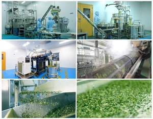 ผงมัทฉะเกรดพิธีชงชา 100% ออร์แกนิคธรรมชาติ ได้รับการรับรองมาตรฐานอาหาร ออร์แกนิค ละลายน้ำได้ - Product Image 6