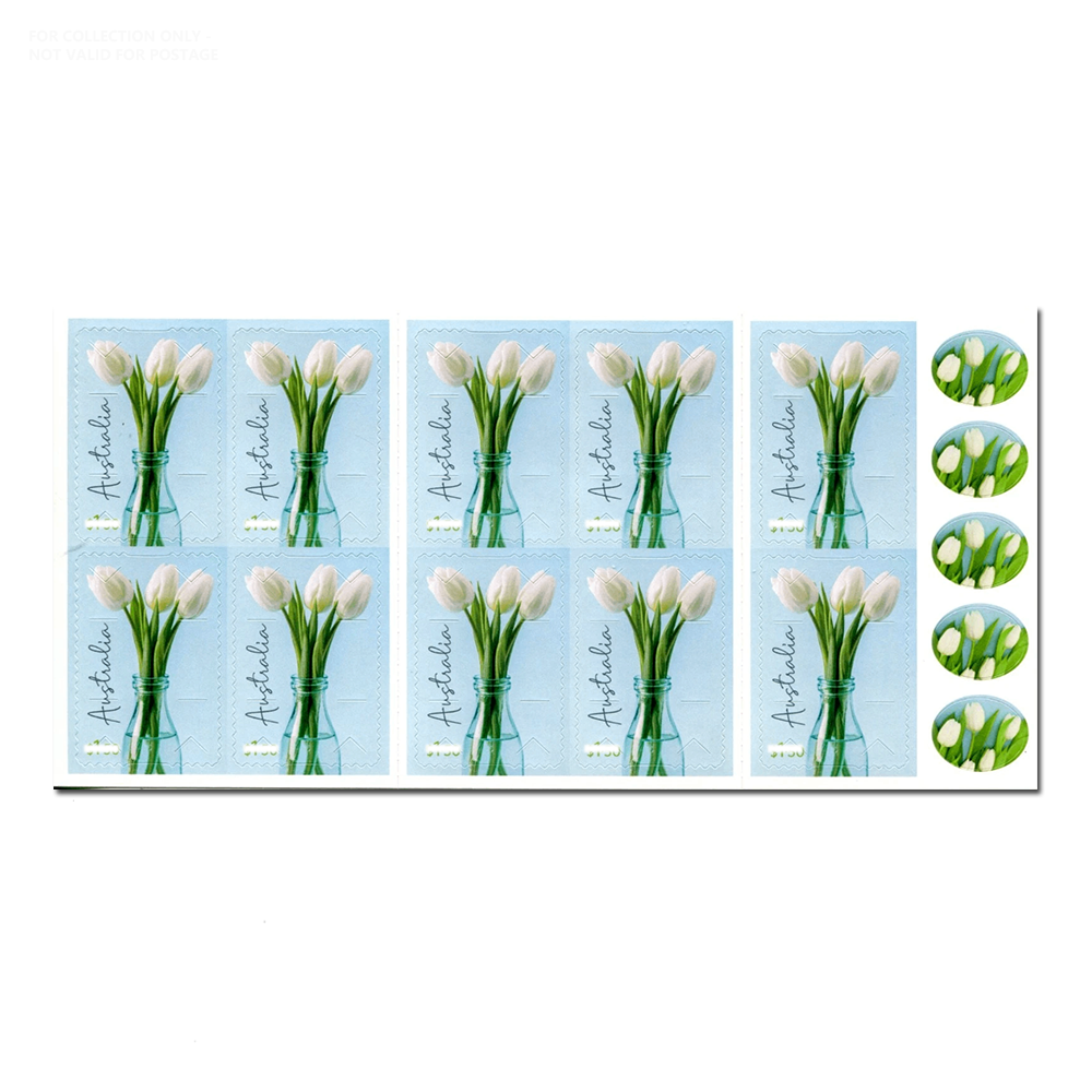 Blanc A3 2024 Tulipes blanches 1.5