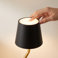 Lampe de table LED décorative sans fil à piles avec variateur tactile, design incurvé en S, idéale pour hôtels, chambres et restaurants