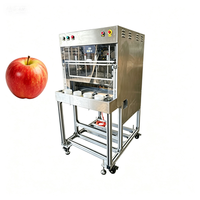 Fabrieksdirect elektrische commerciële automatische appel schil-, kern- en snijmachine met lager