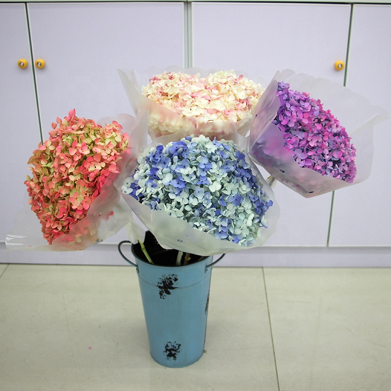 Dried Flowers in Bulk from Global Suppliers | Premium Quality ...