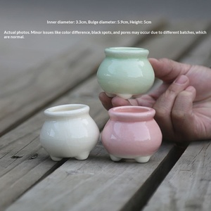 Mini pot à pouce fait main pour la culture de feuilles, semis, plantes <span class=keywords><strong>vertes</strong></span>, plantes aquatiques pour aquarium et aménagement paysager, design minimaliste - Product Image 4