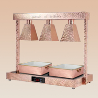 Airuisi Rose Gold Acier inoxydable Double Lumières Lampe de conservation de la chaleur des aliments Réchauffeur de buffet Réchaud électrique Traiteur Buffet pour