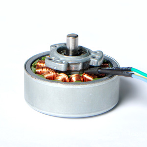 Motor sin Escobillas de 42 mm, 36V, 3000 RPM, Montaje con Brida, Imán Permanente, Totalmente Cerrado, para Uso Doméstico Inteligente - Product Image 2