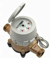 Compteur d'eau à piston à aubes, corps en laiton, sortie impulsionnelle, compteur d'eau volumétrique à piston DN15 DN20, débitmètre d'eau froide résidentiel