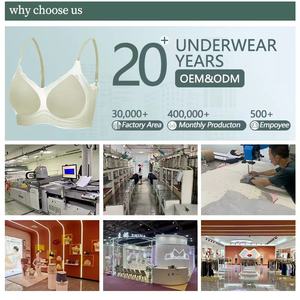 Großhandel Damen Sexy Nahtlose Transparente Polyamid-Spitzen-Slips mit Taillenlogo für Damenunterwäsche - Product Image 4