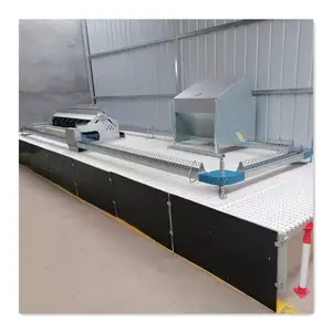 Sistema de alimentación de pan de cadena de cría automática para equipos de aves de corral