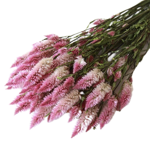 ดอกไม้<span class=keywords><strong>สาคู</strong></span>ธรรมชาติสำหรับตกแต่งงานแต่งงาน - Product Image 5