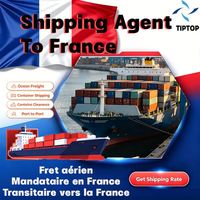 Agente de envío Francia Carga marítima París Charles De Gaulle Transporte aeroportuario Envío marítimo Transitario urgente