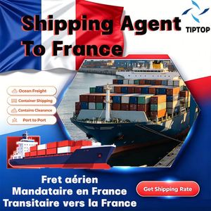 Agent maritime France Fret maritime Paris Aéroport Charles <span class=keywords><strong>De</strong></span> <span class=keywords><strong>Gaulle</strong></span> Transport maritime Expédition express Transitaire - Product Image 1