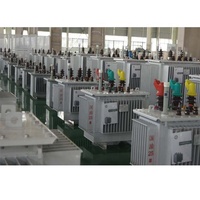 Transformateur de puissance toroïdal immergé dans l'huile, triphasé, extérieur, à bobinage en cuivre ONAN, 480V 50/60Hz, S13-S22, à froid, Zhongyong
