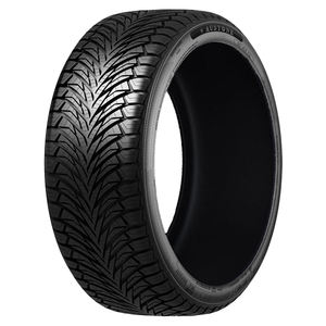 Neumáticos AUSTONE 225/60 R17 99V FIXCLIME SP-401 para Todas las Estaciones - Product Image 1
