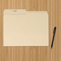 Carpeta de Archivo de Documentos y Recibos con Tapa Dura de PP, Tamaño Carta A4, Logotipo Personalizado, Manila, Venta al Por Mayor