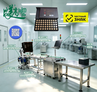 Machine de marquage laser UV pour bouchons de bouteilles avec fonction autofocus, marquage laser de codes QR et inspection multi-caméras