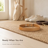 Ensemble collier et laisse en PU durable pour chats et chiens, réglable, anti-oscillation, style simple