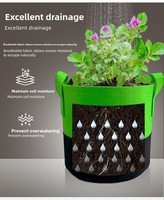 Bolsa de cultivo de árboles de doble color con borde enrollado K21, bolsa de cultivo de plántulas de flores, bolsa de plantas de fieltro no tejido