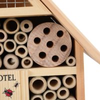 Toit en métal bon marché Boîte à insectes en bois multi-insectes pour abeille, papillon et insectes pour le jardin