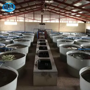 China Fabrik benutzer definierte hochwertige Indoor-Ras-System für die Garnelen fischzucht