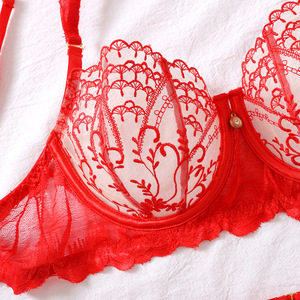Nuovo Set di <span class=keywords><strong>Lingerie</strong></span> Sexy <span class=keywords><strong>Francese</strong></span> Personalizzato, Reggiseno e Mutandine Ricamati in Rete Trasparente, 2 Pezzi - Product Image 3