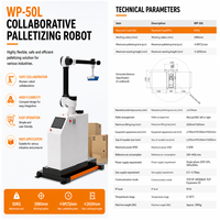 Robot palettiseur automatique / Machine de palettisation - Haute productivité, capacité de charge de 30 kg pour l'alimentation, le métal, le papier, les cigarettes