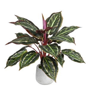 19 <span class=keywords><strong>foglie</strong></span> grandi <span class=keywords><strong>foglie</strong></span> di seta autunnali piante artificiali di Aglaonema per la decorazione della parete - Product Image 3