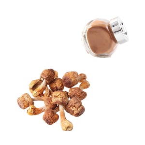 Mỹ phẩm lớp 99% l-ergothioneine Hữu Cơ nấm chiết xuất thực phẩm Capsule ergothioneine bột - Product Image 2