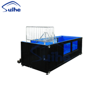 Piscine en conteneur maritime Suihe de 20 pieds et 40 pieds en vente, maison préfabriquée en conteneur avec piscine