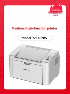 Pantum P2518NW/M6568NW Black and <b>White</b> Laser <b>Printer</b> for Home, Small Office, Mobile Phone, and Wireless USB + NET + WIFI - Product Image 2