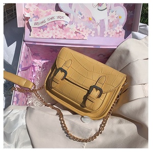 <span class=keywords><strong>France</strong></span> style small female chain <span class=keywords><strong>crocodile</strong></span> pattern women crossbody bags handbags shoulder bags - Product Image 6
