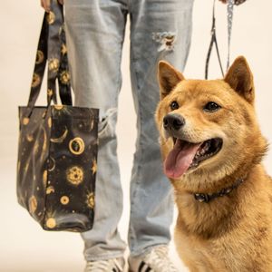 Ensemble d'accessoires pour animaux de compagnie Echo Kopai K Series avec imprimé lune et étoiles : harnais, laisse, collier, bavoir et vêtements pour chien - Product Image 5