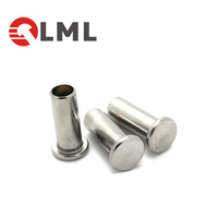 Hardware Fastener Products GB876 Brass Hollow Tubular Rivets M3 Rivet Nut From Chinese Supplier